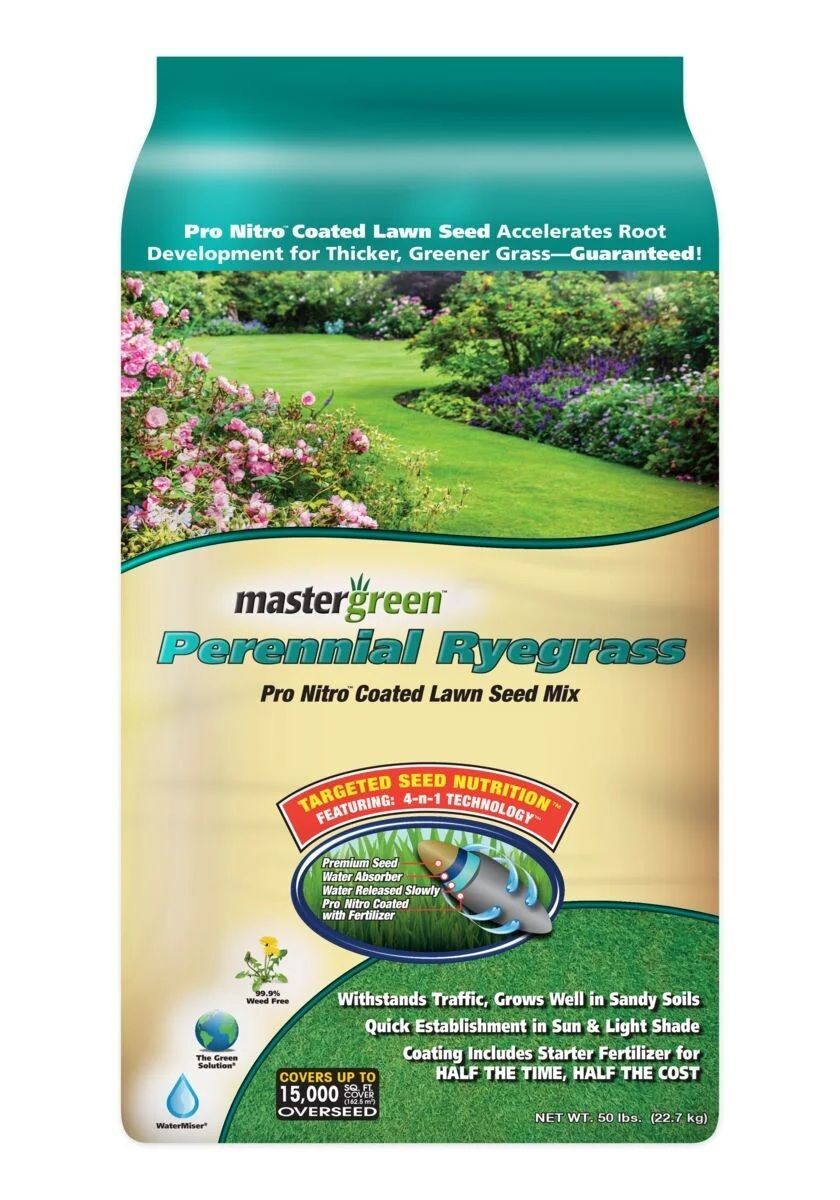 Mastergreen Perennial Ryegrass Grass Seed, 50-Lb