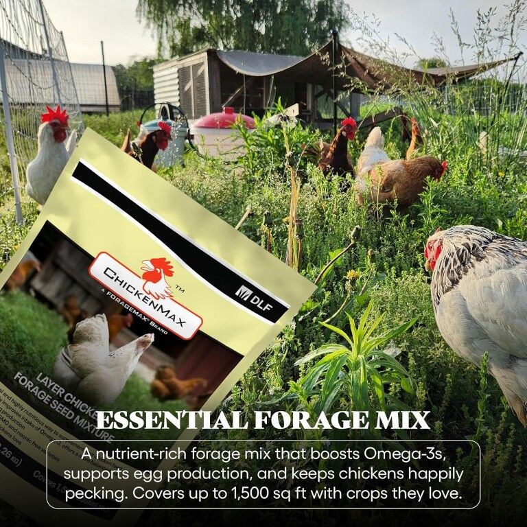 DLF Chicken Max Layer Chicken Forage Seed Mixture, 5-Lb