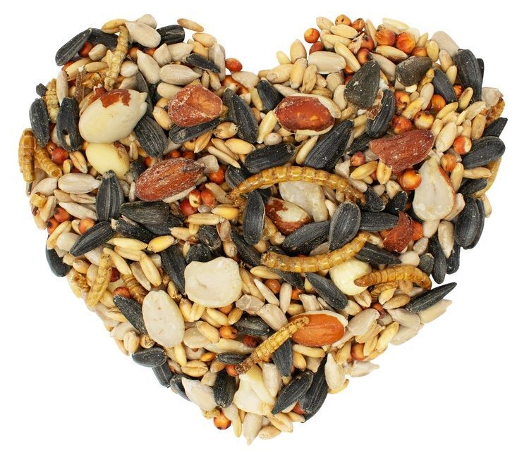Love My Girls Flax & Worms Gourmet Chicken Snacks, 5-Lb