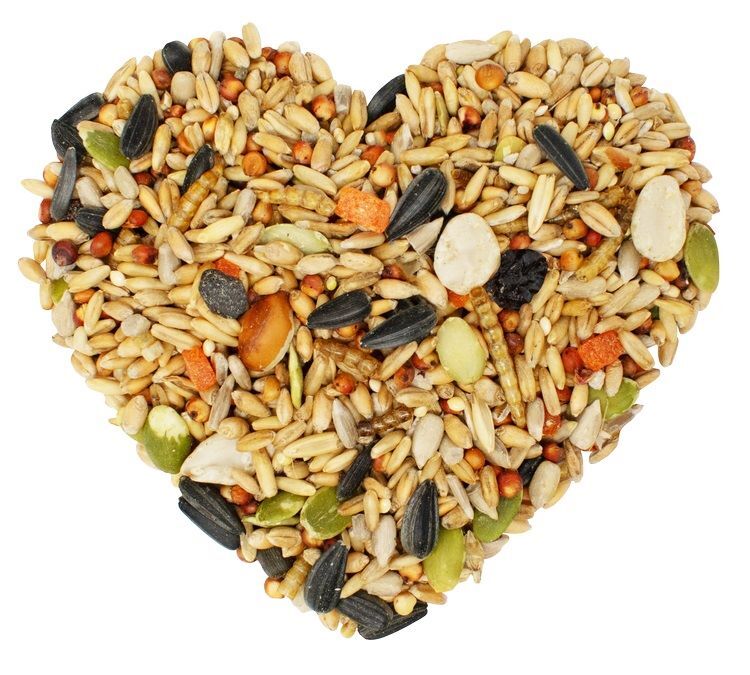 Love My Girls Fruit & Worms Gourmet Chicken Snacks, 5-Lb