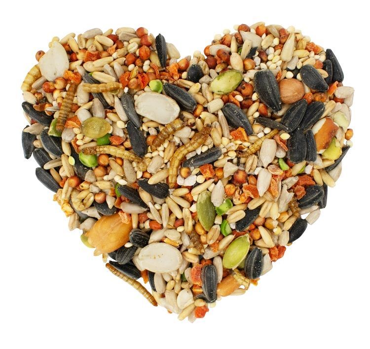 Love My Girls Veggies & Worms Gourmet Chicken Snacks, 5-Lb
