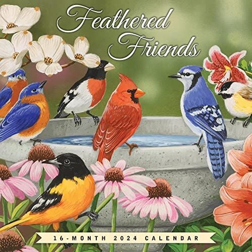 Brown Trout Publisher 2024 Feathered Friends Monthly Mini Wall Calendar, 7-In x 14-In