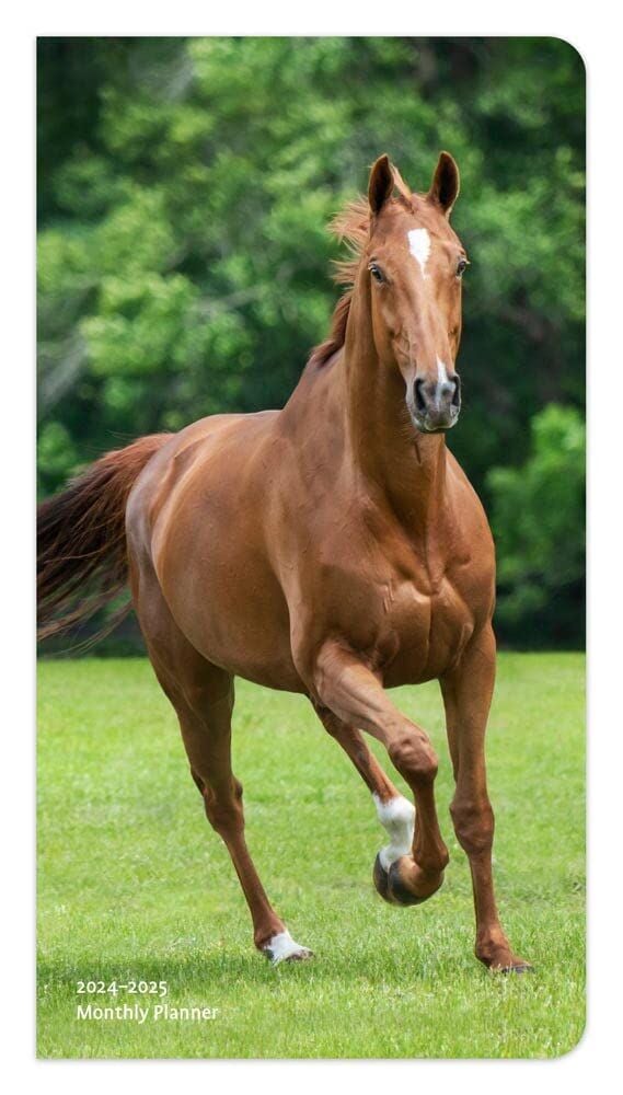 Brown Trout Publisher 2024-2025 Horse Lovers Monthly Pocket Planner Calendar, 3.5-In x 6.5-In