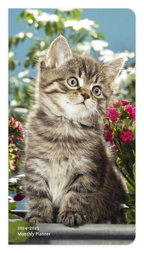 Brown Trout Publisher 2024-2025 Kitten Cuddles Monthly Pocket Planner Calendar, 3.5-In x 6.5-In