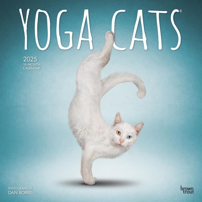 Brown Trout Publisher 2025 Yoga Cats Official Monthly Square Wall Calendar, 12-In x 24-In