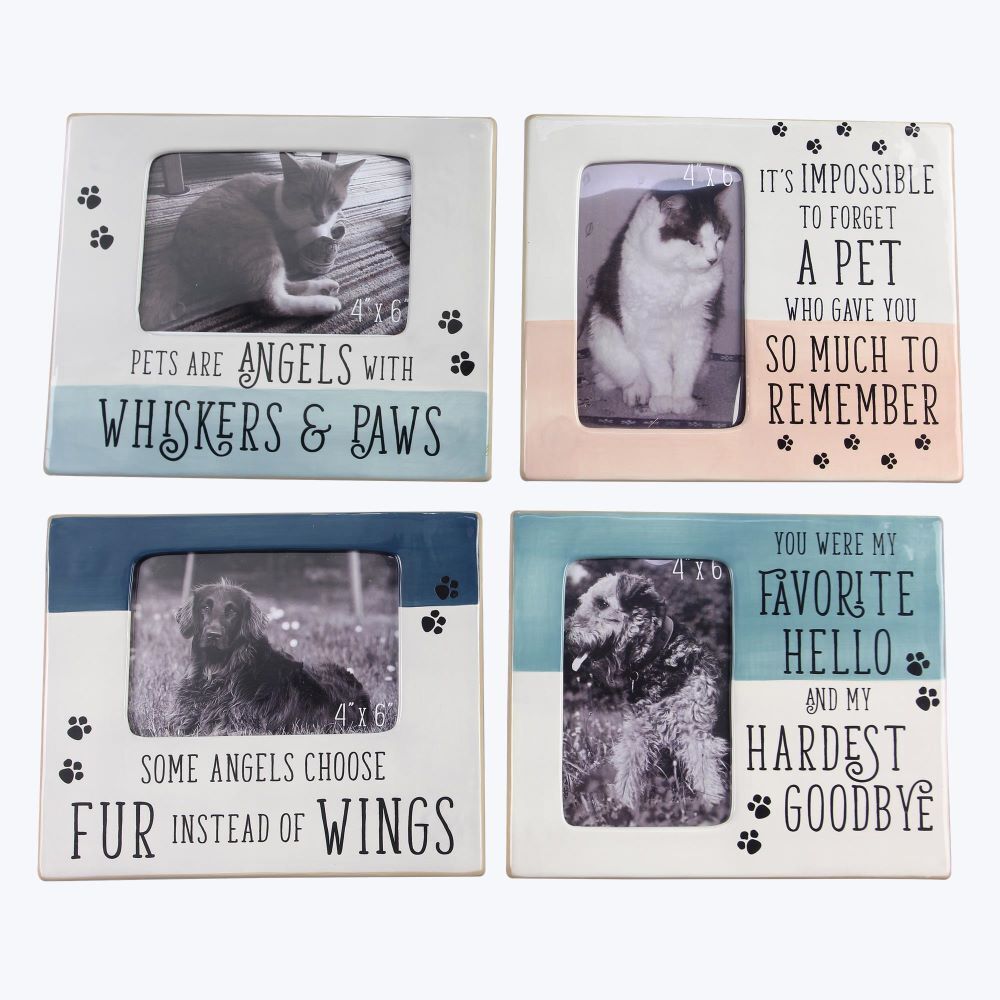 Young's Inc Ceramic Pet Memorial Photo Frame Assortment