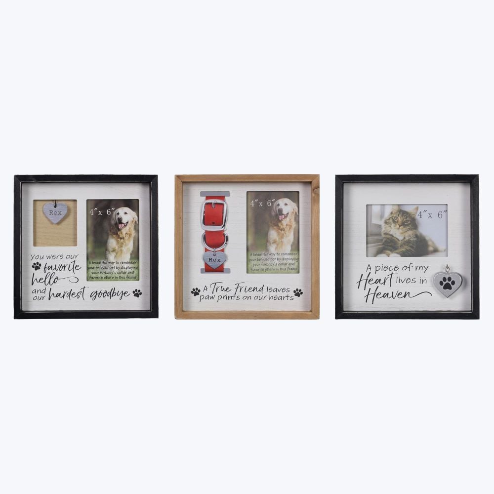 Young's Inc Wood Pet Memorial Picture Frame Assortment, 4-in x 6-In
