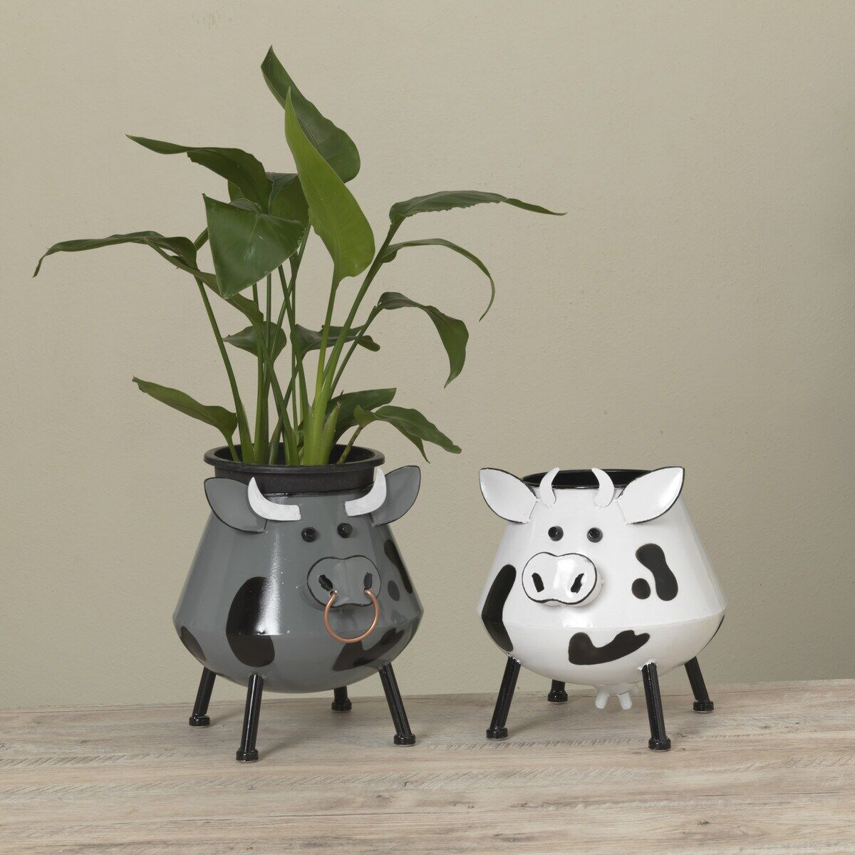 Gerson Metal Bull & Cow Planter Assortment, 10.4-In