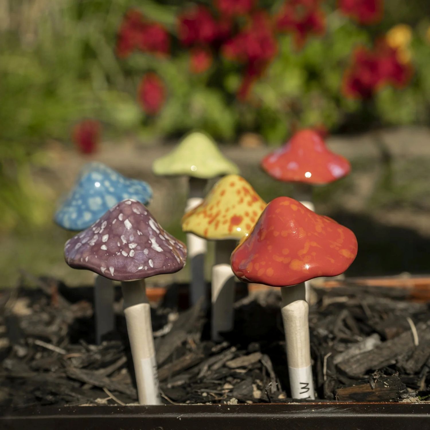 Marshall Home & Garden Bright Mushrooms Assortment, Small, 6-In