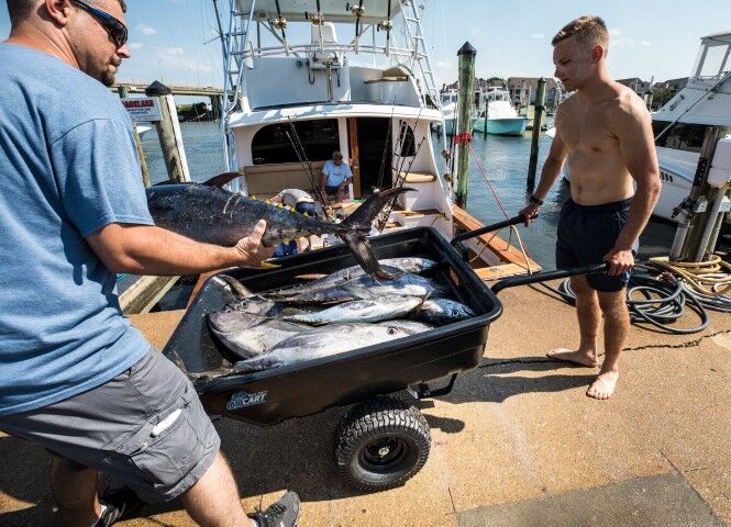 OxCart Wheelbarrow Conversion Kit