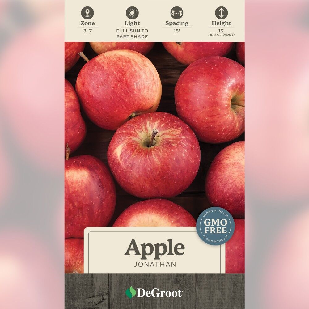 DeGroot Apple Tree, Jonathan