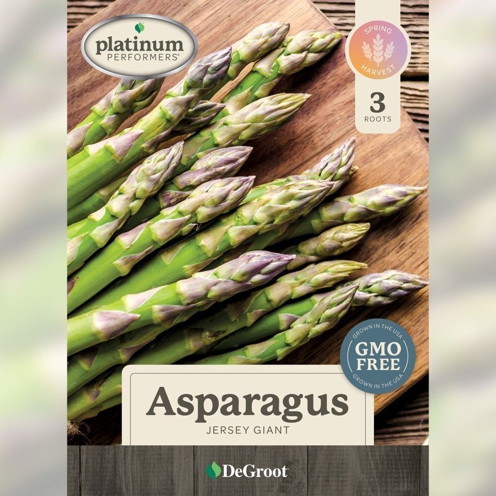 DeGroot Asparagus, Jersey Giant