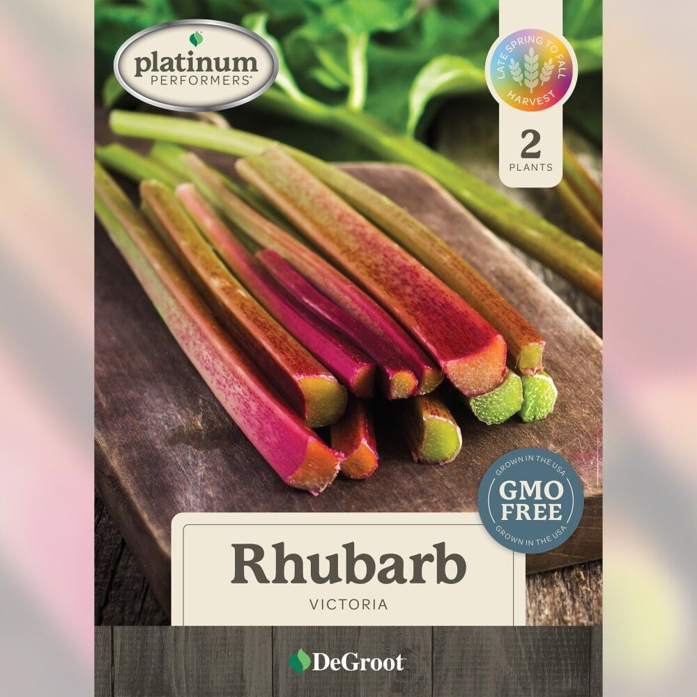 DeGroot Rhubarb, Victoria