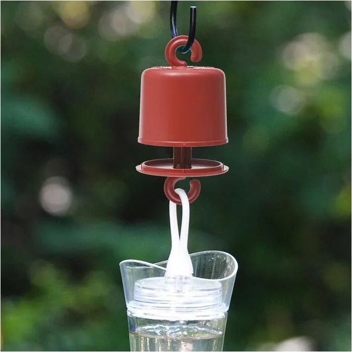 Perky-Pet AntGuard