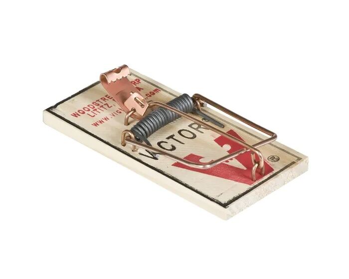 Victor Traps Metal Mouse Trap - 06 oz