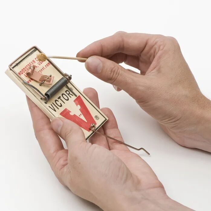 Victor Traps Metal Mouse Trap - 06 oz