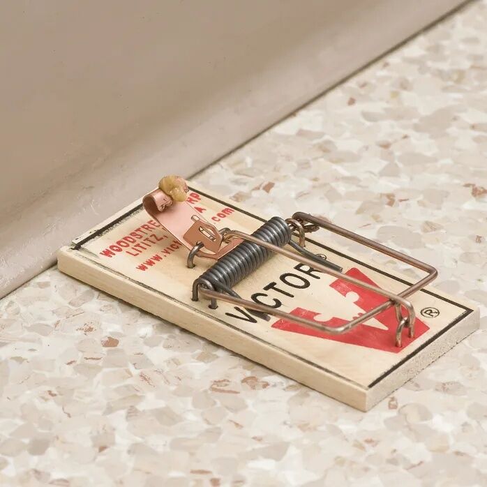 Victor Traps Metal Mouse Trap - 06 oz