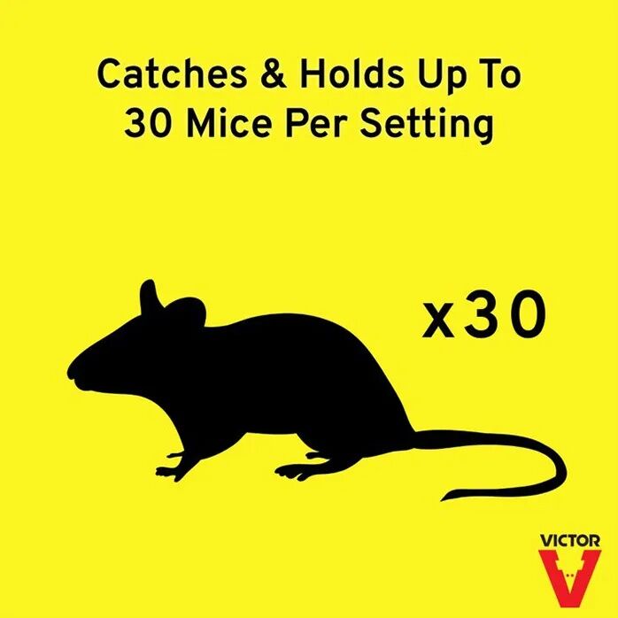 Victor Tin Cat Mouse Trap with Window