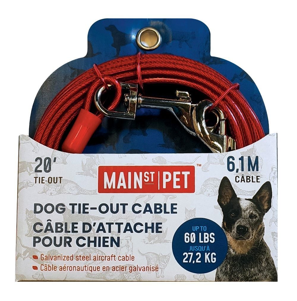 Main St. Pet 20-Ft Dog Tie-Out Cable