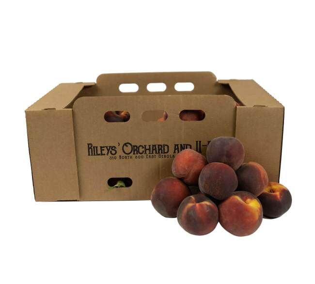 Rileys' Orchard Yellow Freestone Peaches, 20-Lbs