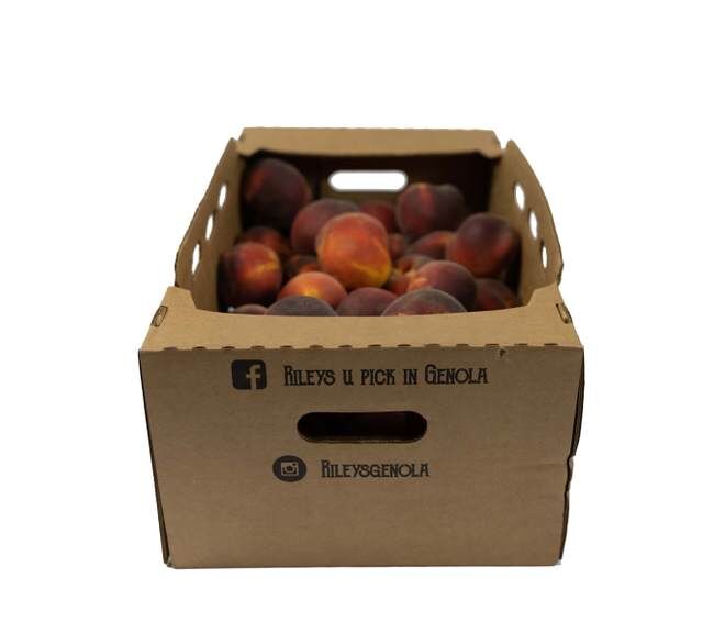 Rileys' Orchard Yellow Freestone Peaches, 20-Lbs