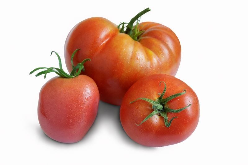 Rileys' Orchard Assorted Utah Grown Beefsteak Tomatoes -20 lbs