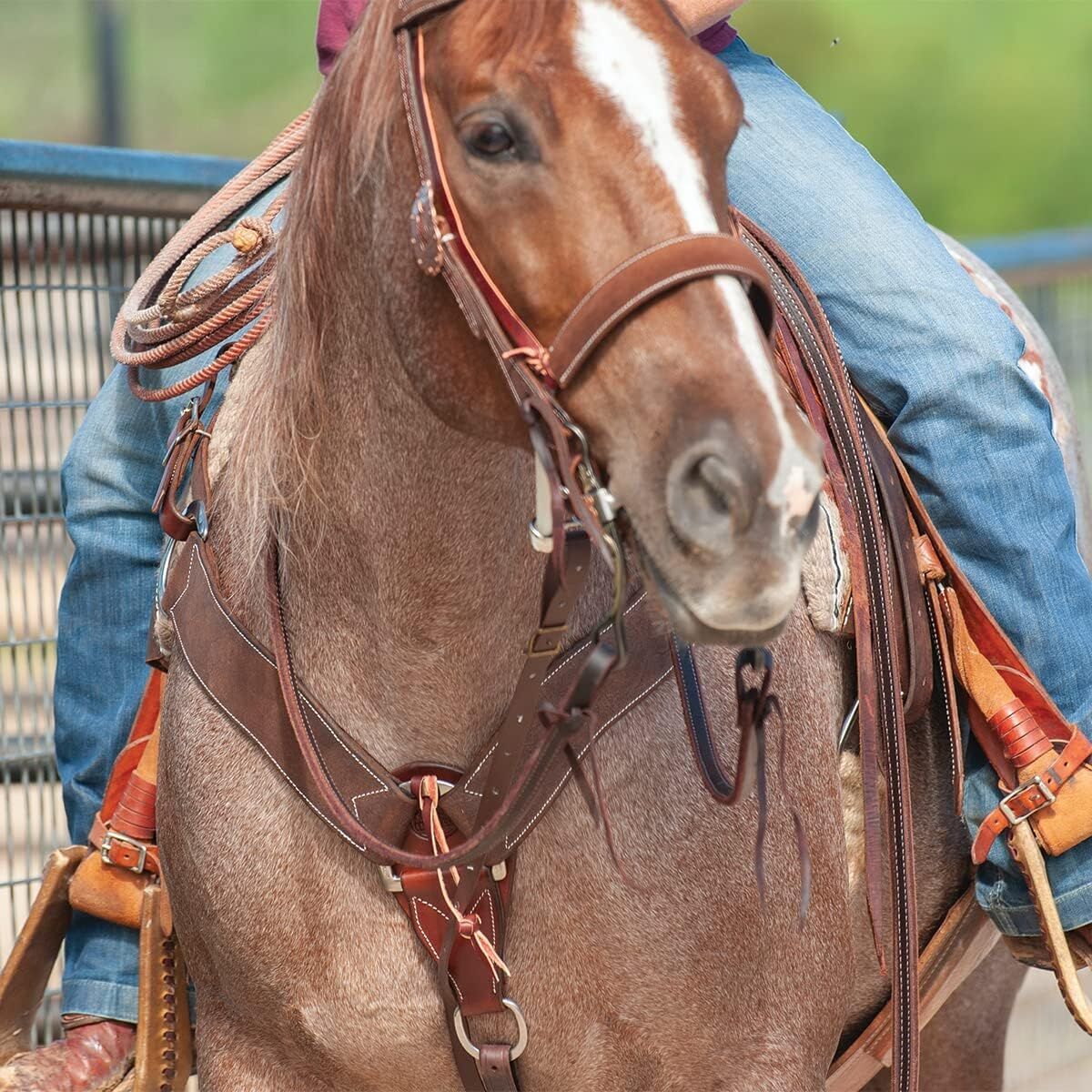 Martin Saddlery Chocolate Roughout Leather Breast Collar, 2 3/4-In