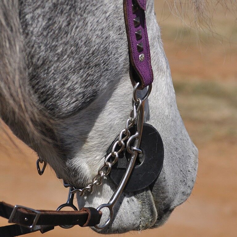 Cashel Bit Cheek Guards