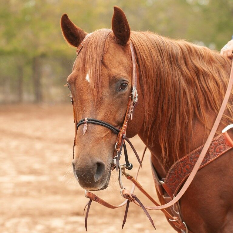 Martin Saddlery Double Rope Noseband