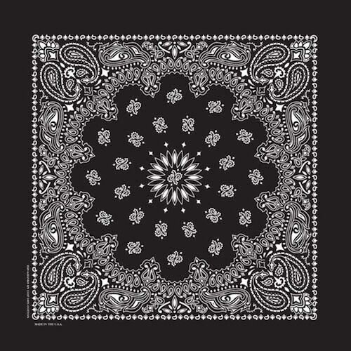 Carolina Creative Traditional Paisley Bandana