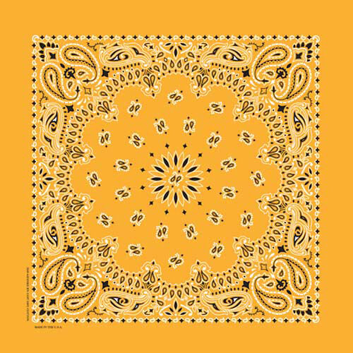 Carolina Creative Traditional Paisley Bandana