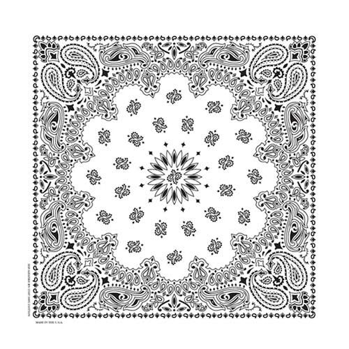 Carolina Creative Traditional Paisley Bandana