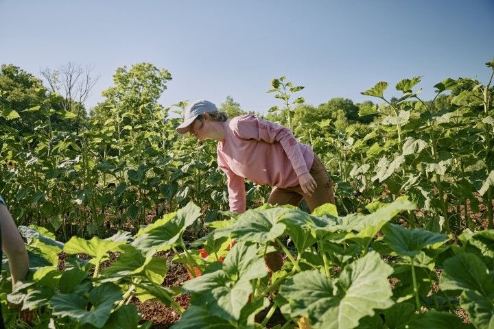 Carhartt Women's Loose Fit Heavyweight Long Sleeve Logo Sleeve Graphic T-Shirt in Rose Tint Heather
