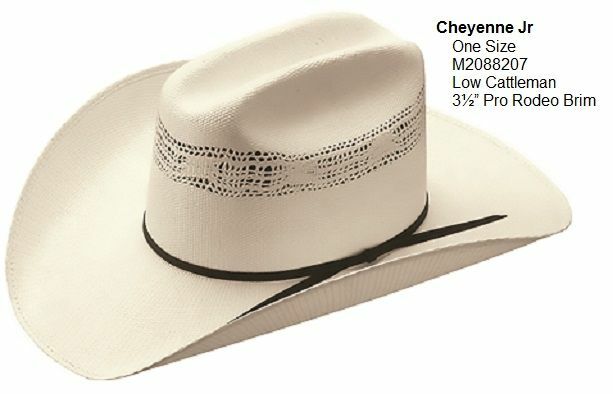 Master Hatters Youth Hat Straw Bronco in Beige