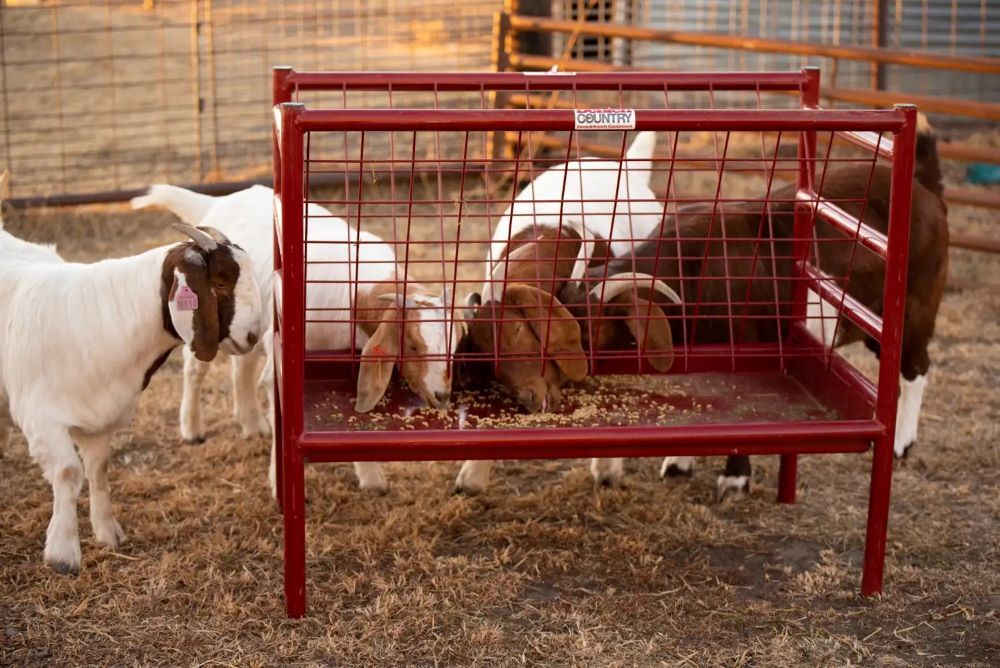 Behlen All Metal Small Animal Feeder