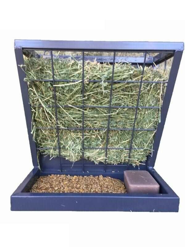 Rugged Ranch Sheep & Goat Hanging Feeder - Blue