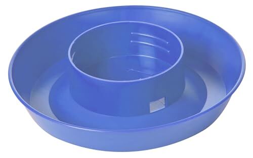 Little Giant Blue Screw-On Poultry Waterer Base, 1-Qt