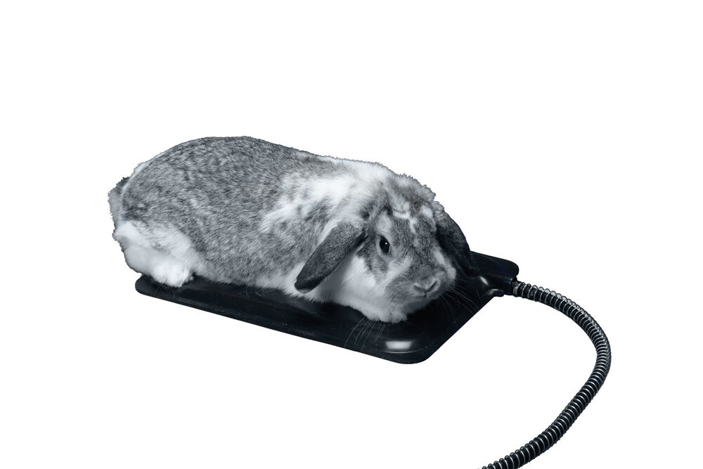 Pet Lodge Xs Plastic Heated Pet Mat - White, 9 in X 12 in