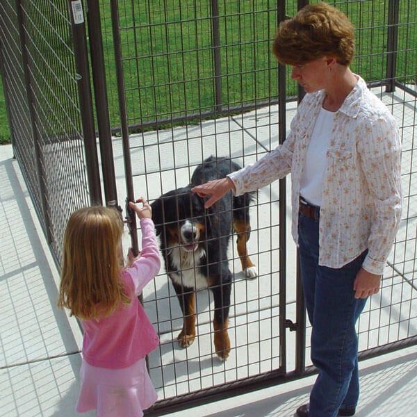 Powder River Dog Kennel Front with Connector, 5-Ft x 74-In