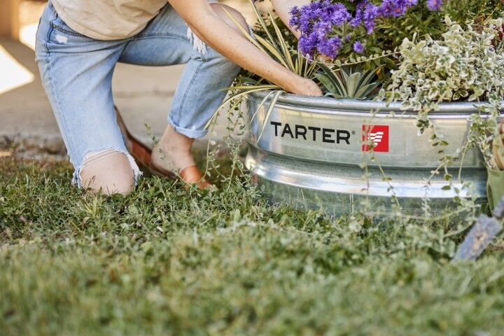 Tarter Gate Fire Ring, 3-Ft