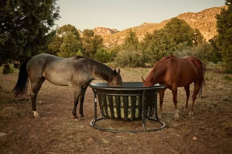 Tarter Equine Hay Basket