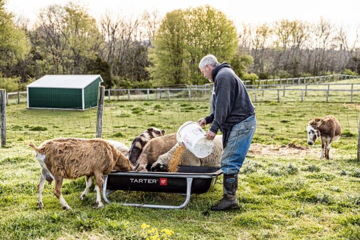 Tarter Poly Goat Bunk Feeder, 5 Ft
