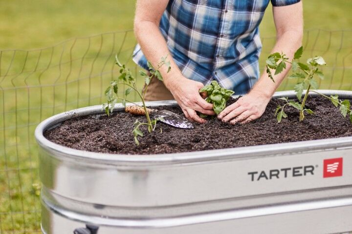 Tarter Large Water Trough Stand