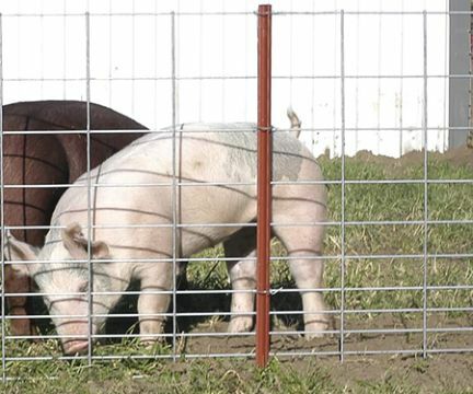 OK Brand Handy 50-In Panel, 8-Ft