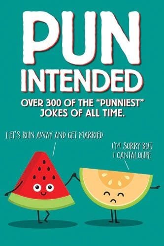 Willow Creek Press Pun Intended Book