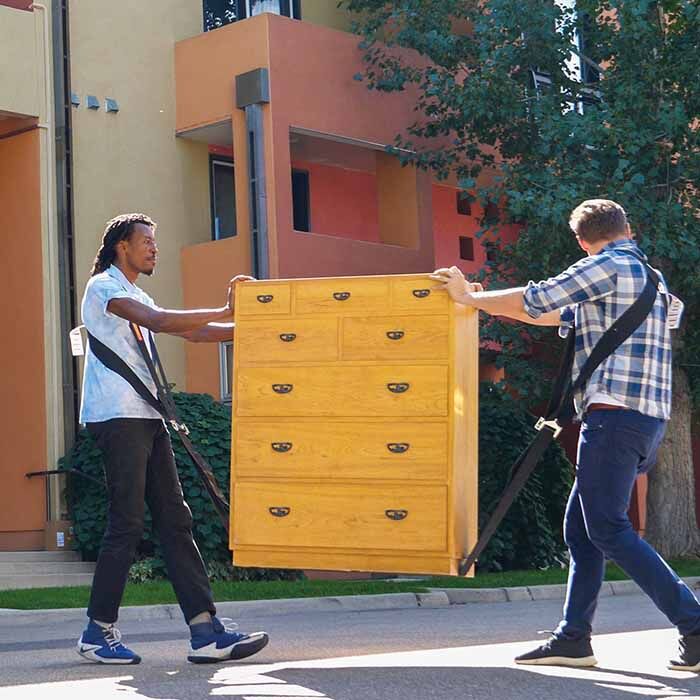 ShoulderDolly Moving Straps