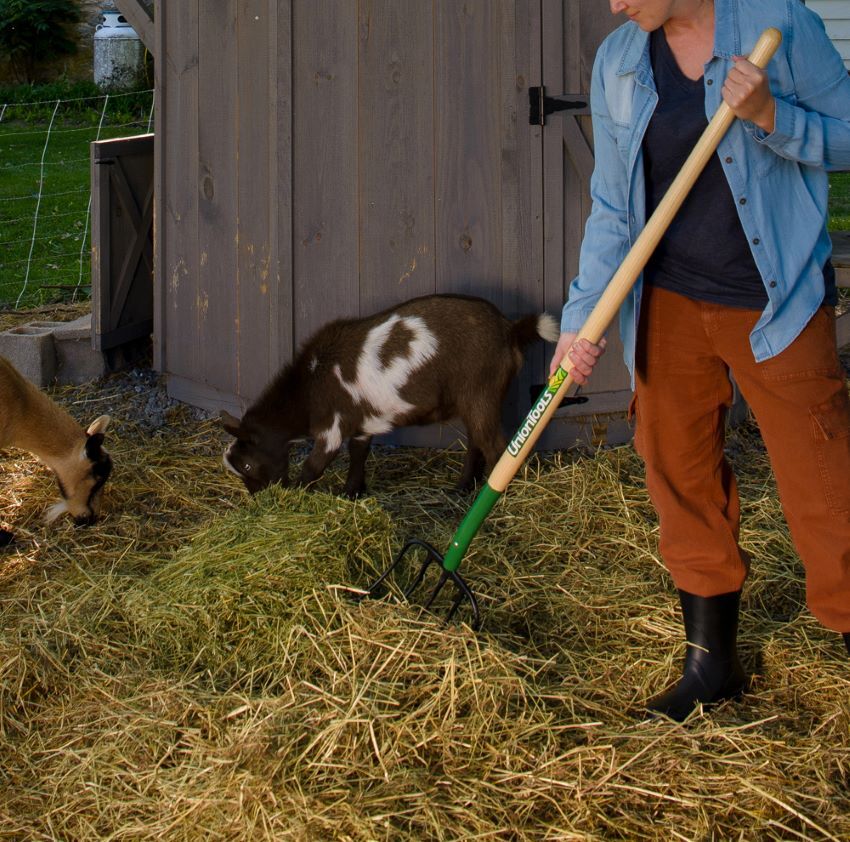 Union Tools 5- Tine Manure Fork, 60-In