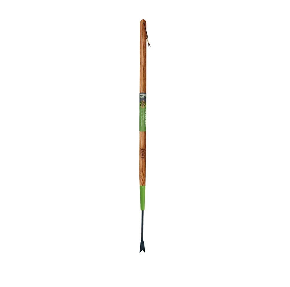 Home By Ames Forged Dandelion Weeder