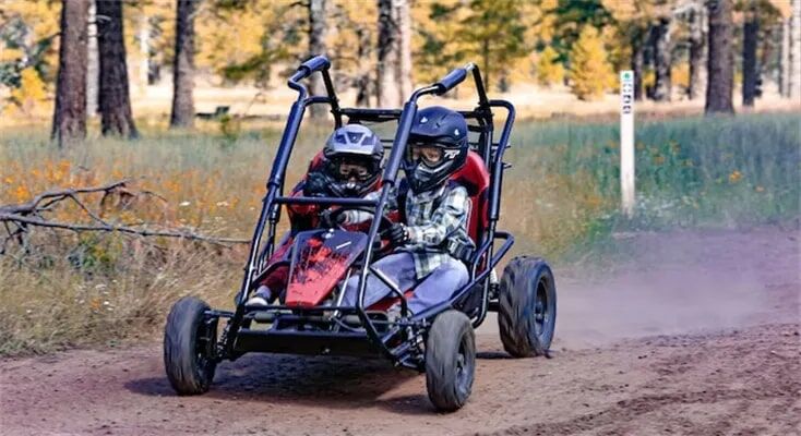 Coleman 196cc KT 196 Go Kart