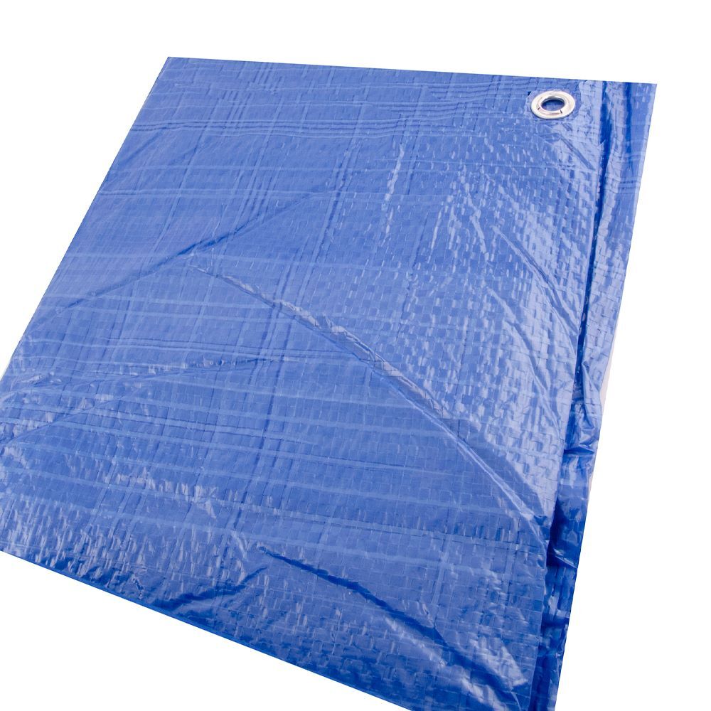 Erickson Economy Grade Blue Poly Tarp, 20-Ft x 40-Ft